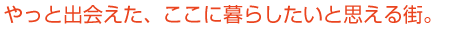 贅沢な郊外型生活